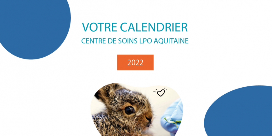 visuel "votre calendrier - centre de soins LPO Aquitaine 2022" + lapereau en soins